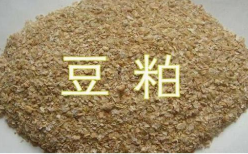 怎么享受優(yōu)惠手續(xù)費(fèi)？豆粕期平今倉(cāng)