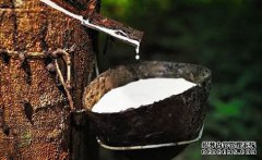 橡膠上漲仍可期，焦炭期現(xiàn)聯(lián)動(dòng)，向