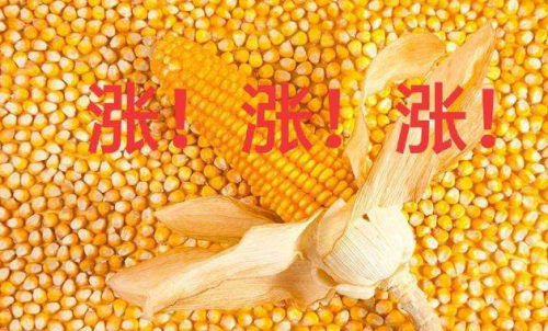 玉米期貨開戶要驗(yàn)資嗎？為何不能買